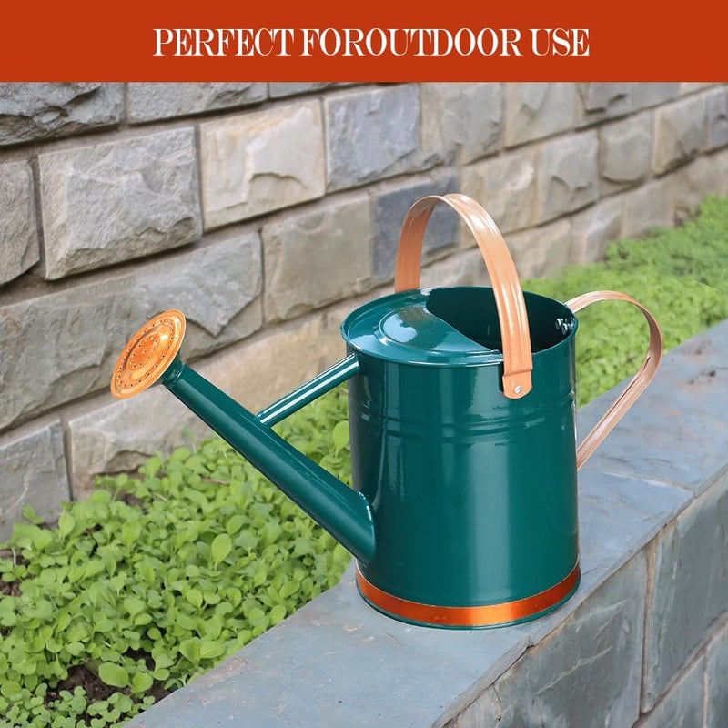 yourjoy Metal Watering Can, One Gallon Watering Cans Stainless Steel for Outdoor Indoor Garden Plants Watering (One Gallon Green Decorative Strip) - Image 3